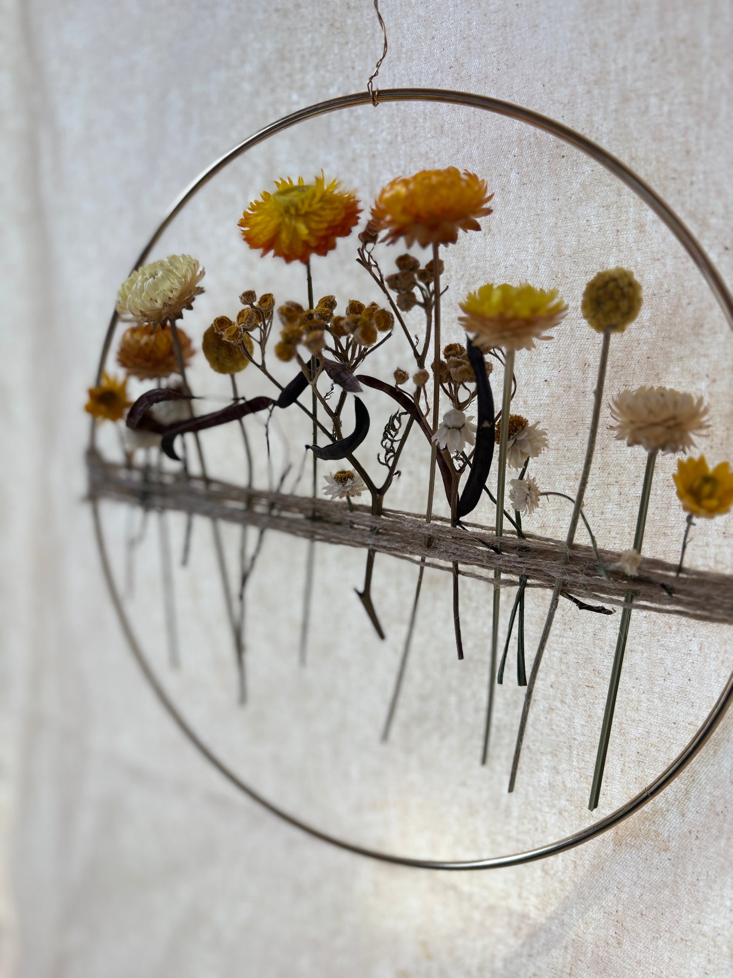 Everlasting daisy wall hoop hanging — a piece of the farm brought indoors