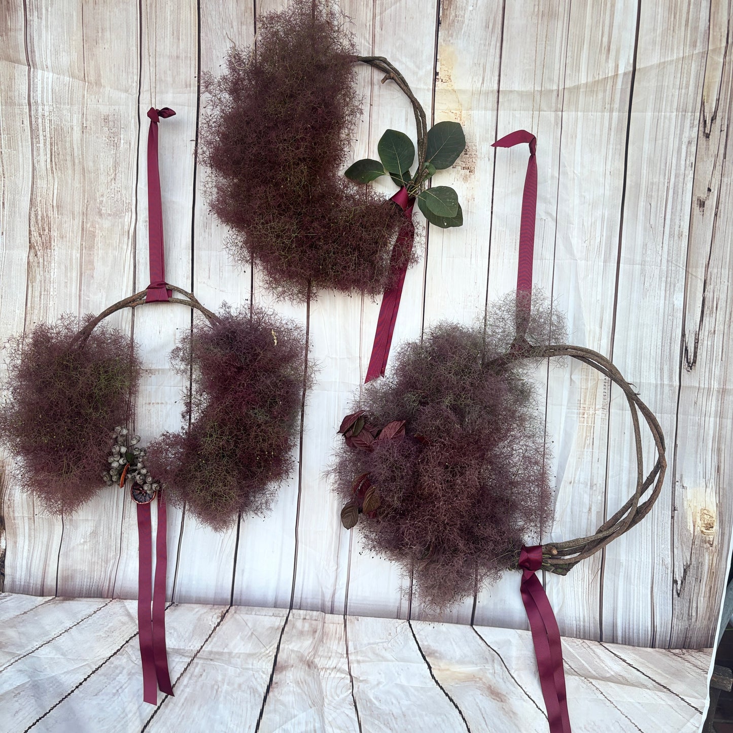 The Smoke Bush Series - Smoke'n Purple