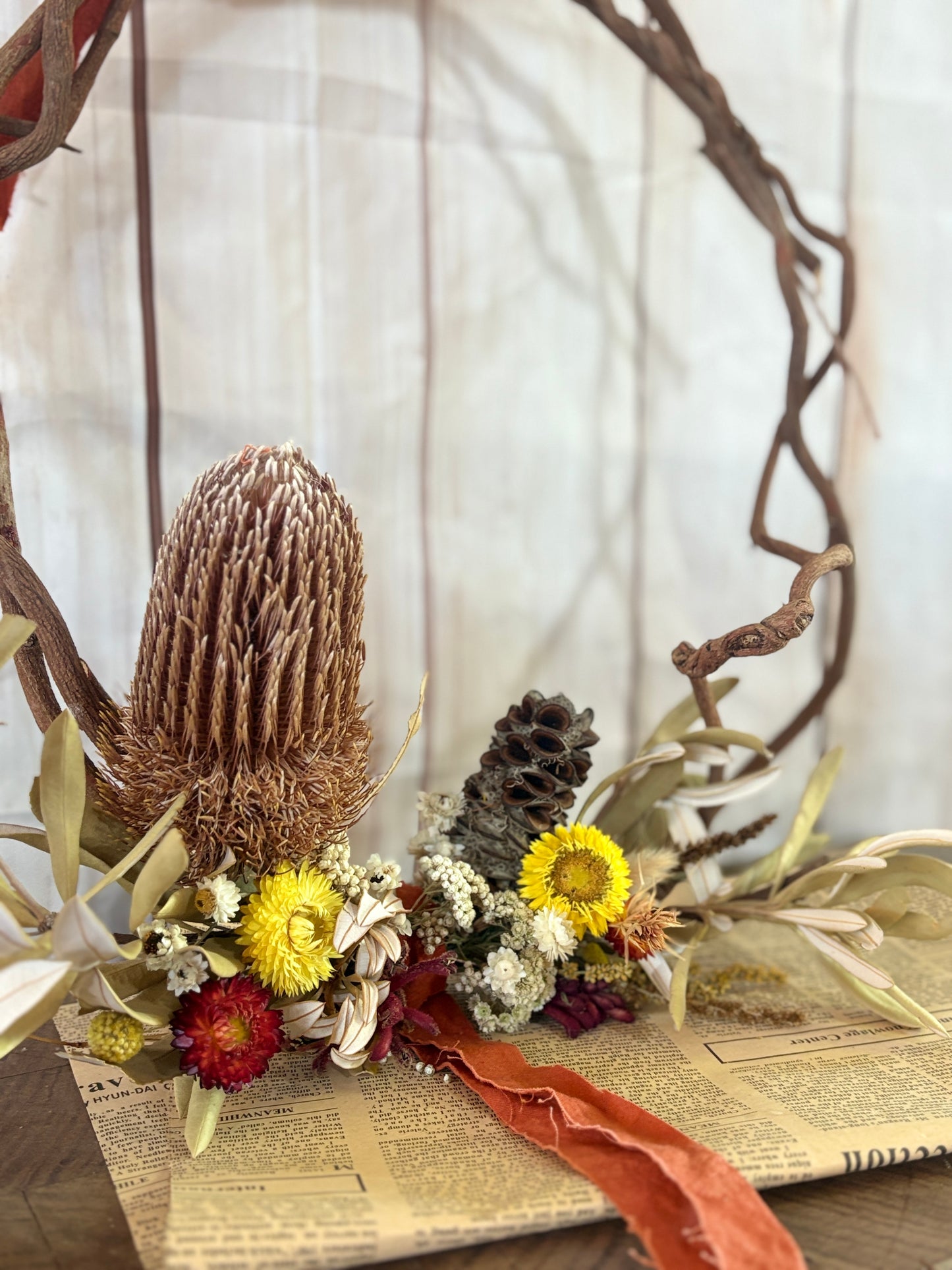 Summer Wild Flower Series - Banksia Beauty