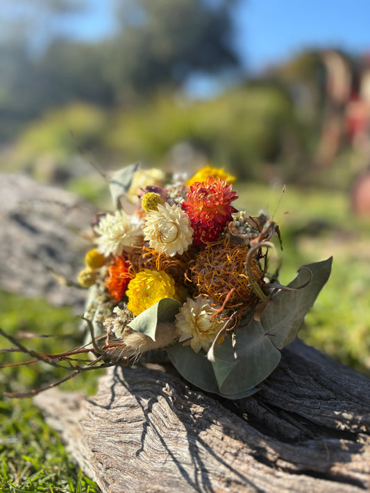 Australian Natives I Love to Grow, Dry & Create With