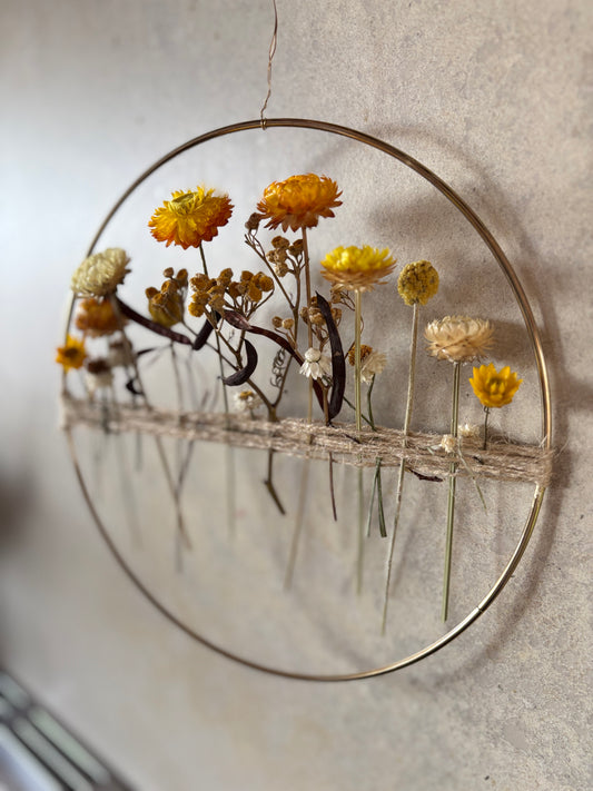 Everlasting daisy wall hoop — handmade dried flower hoop, North East Victoria