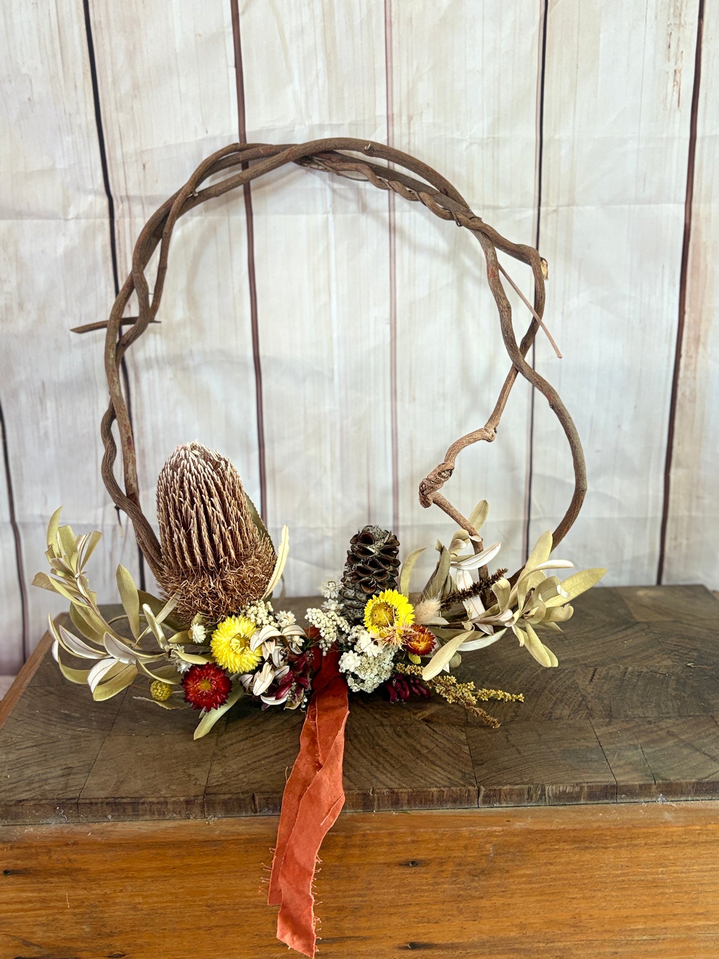 Summer Wild Flower Series - Banksia Beauty