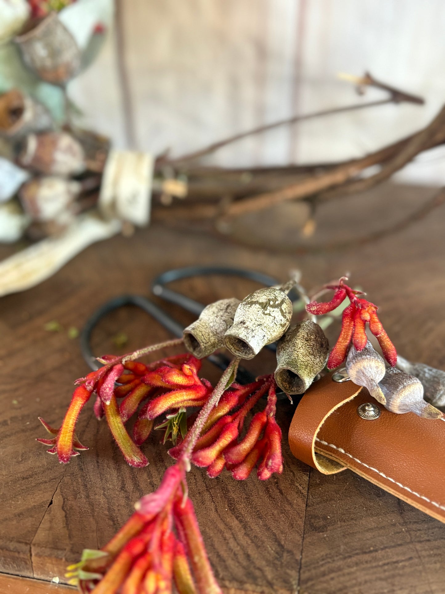 Summer Wild Flower Series - Bushfire Red