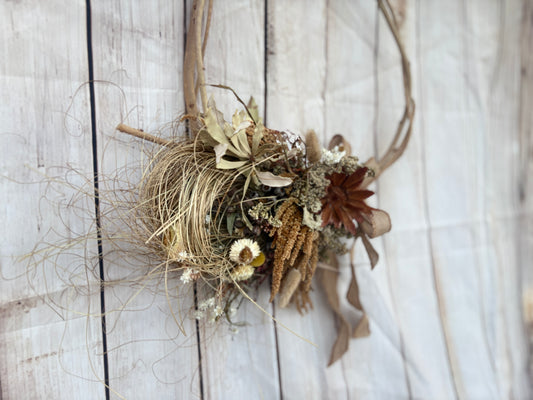 Summer Wildflower Series - Our Sunburnt Country