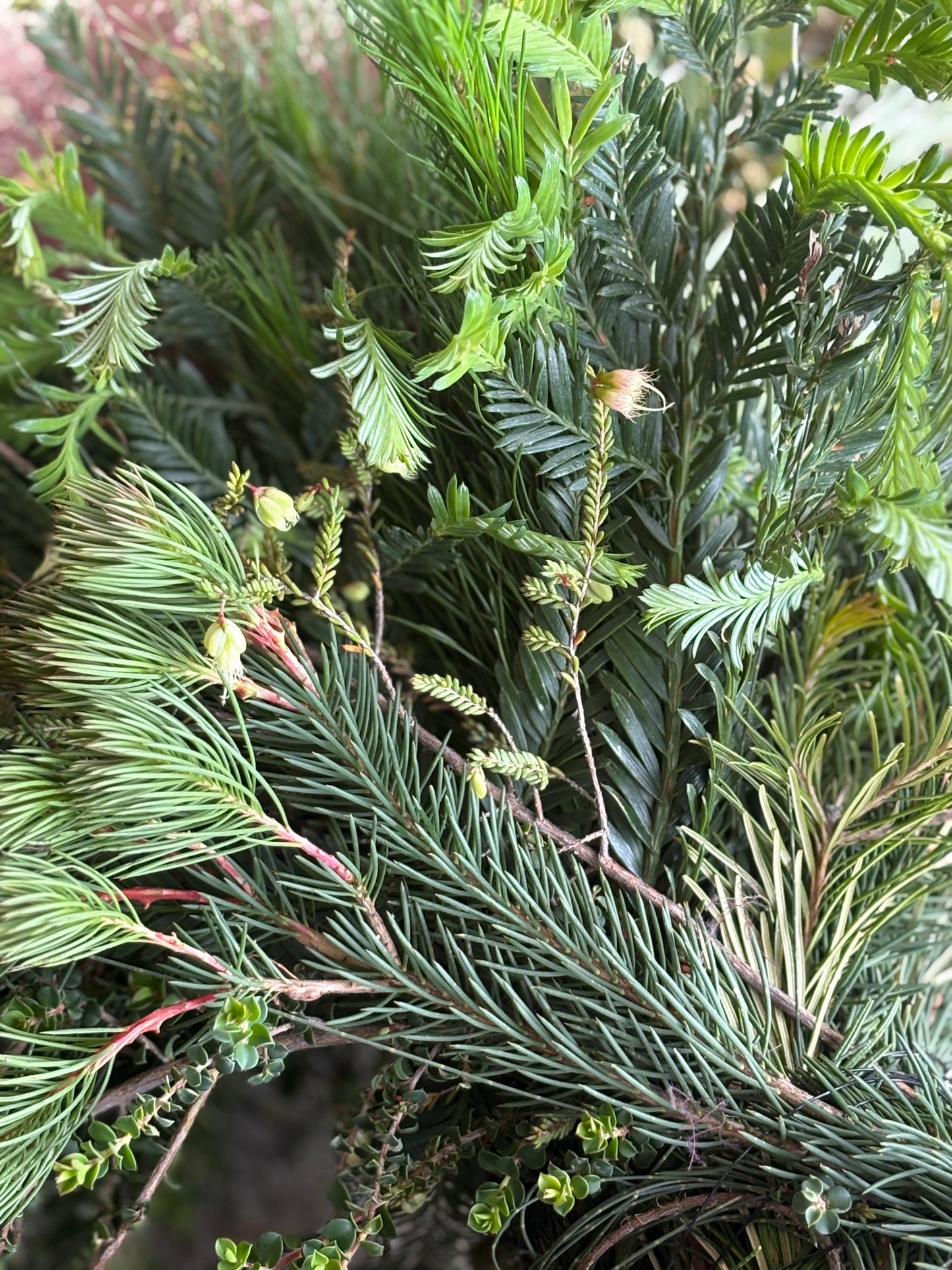 Winter Wreath Gathering @ Dunmore