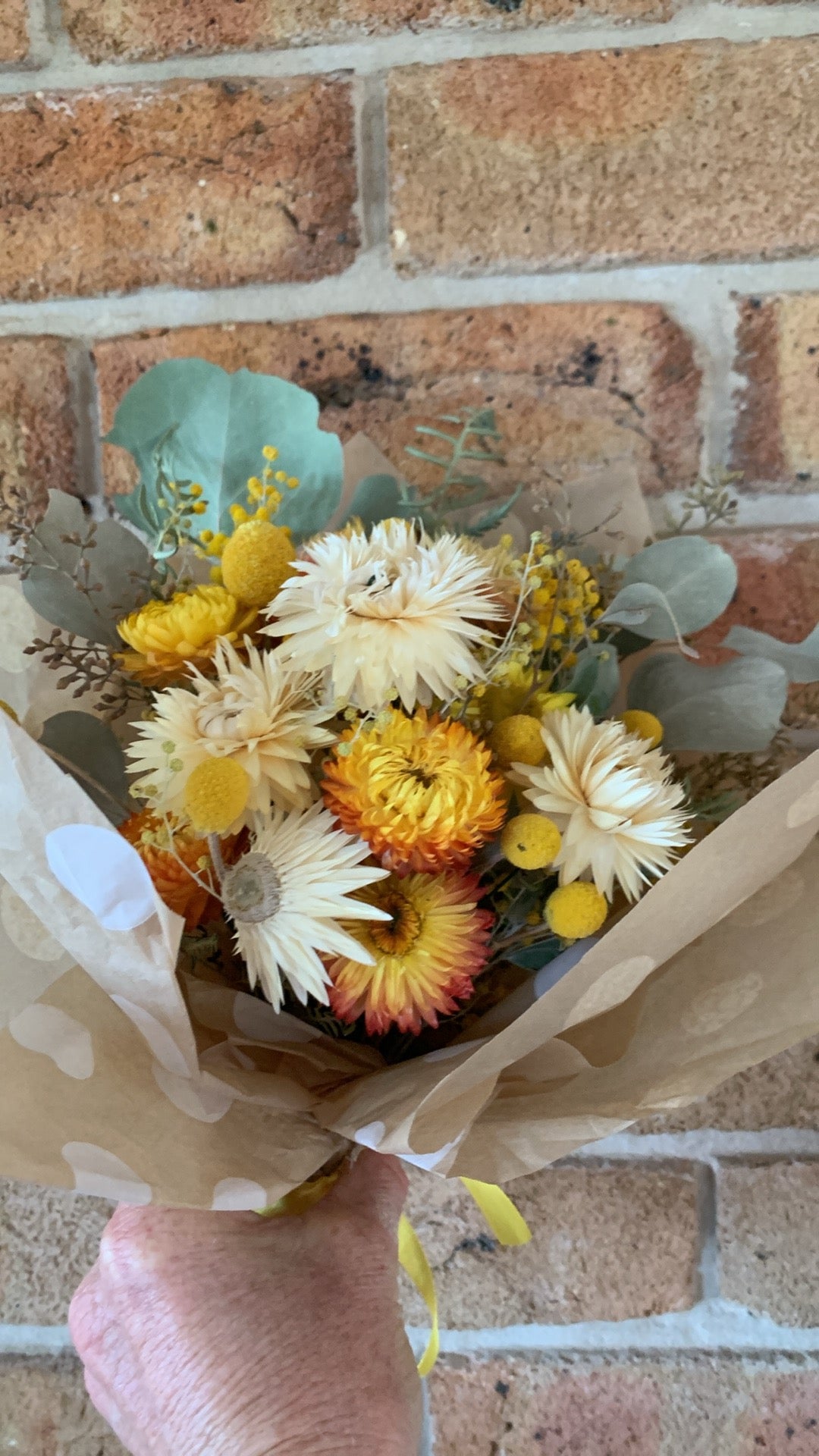 Dried Australian Native Posy