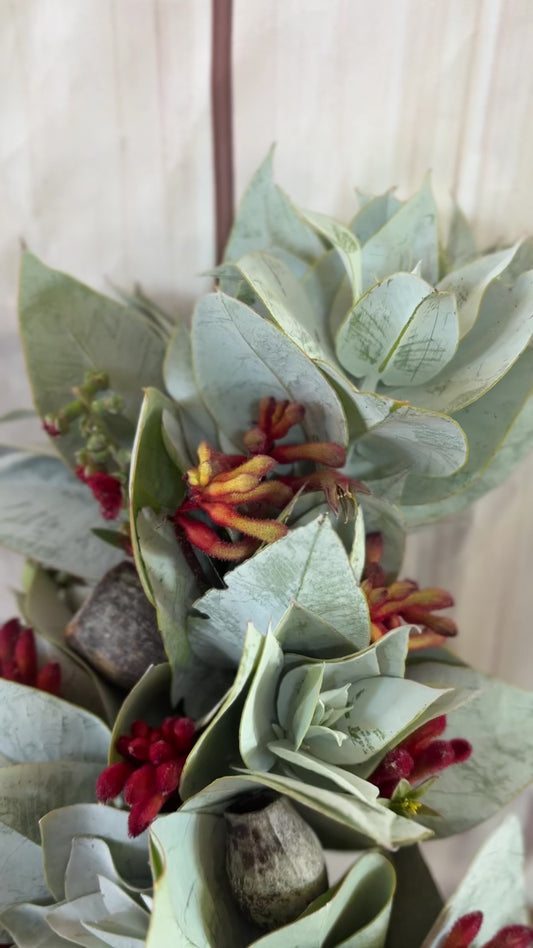 Summer Wild Flower Series - Bushfire Red